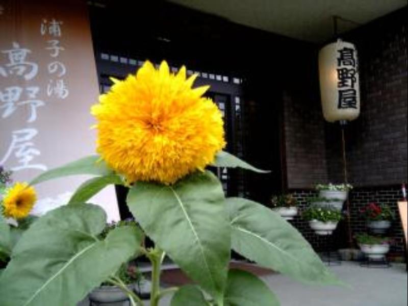 Takanoya Yuzawa  Exteriör bild